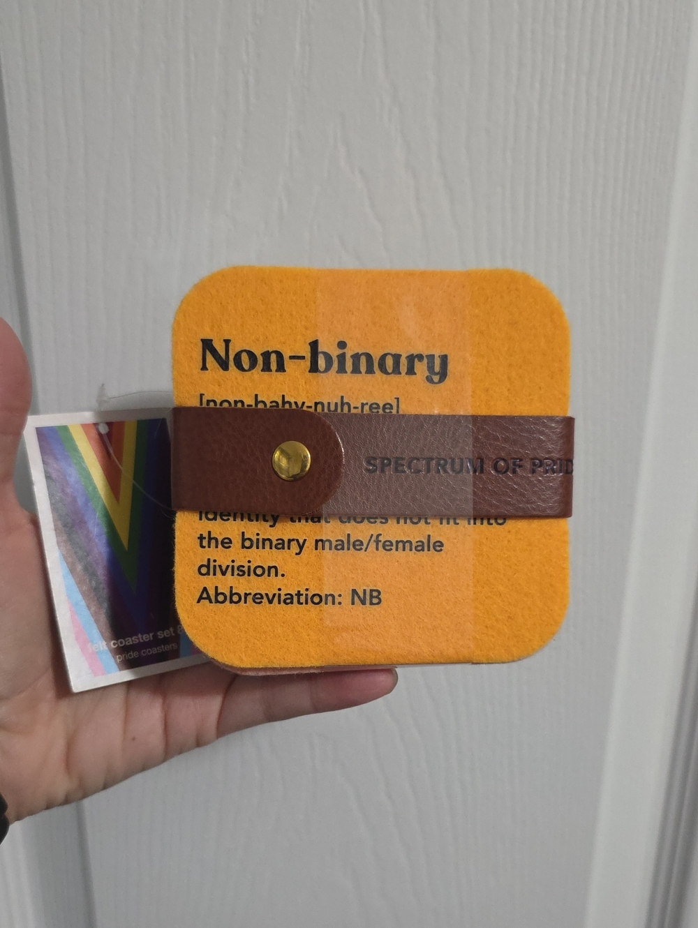 New Target Pride Collection Spectrum of Pride Felt Coasters 8 Pack